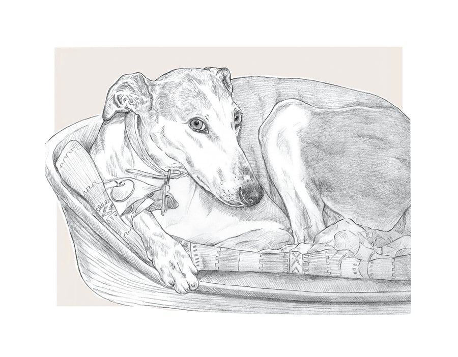 Pet Portrait - Bespoke Illustrated Print