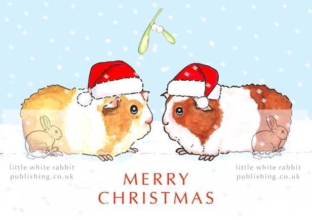 Guinea Pigs under the Mistletoe - Christmas Card