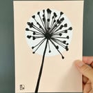 Garden Allium, seed head, shadow painting, handmade art, signed
