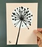 Garden Allium, seed head, shadow painting, handmade art, signed