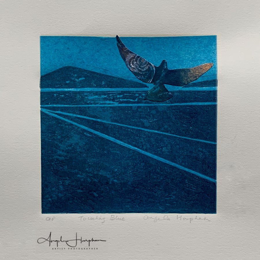 Lino Print with Chine Colle and Collaged Dove - Touching Blue