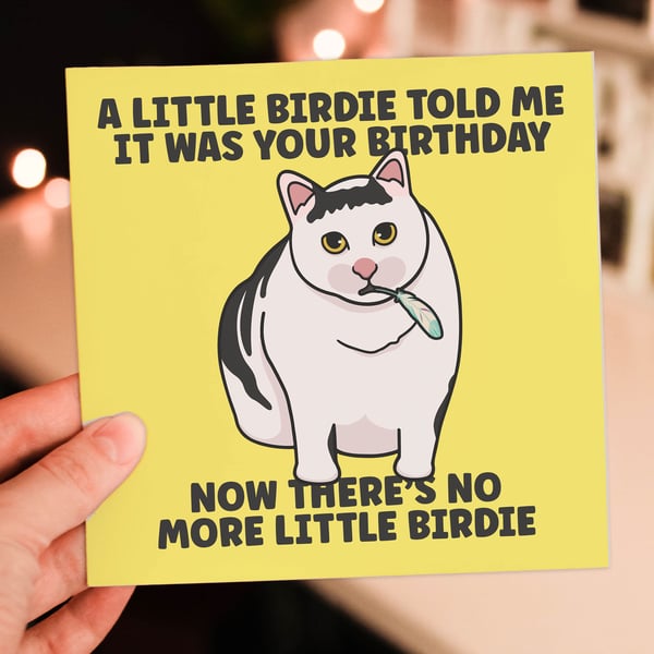 A little birdie told me it was your birthday, now there’s no more little birdie