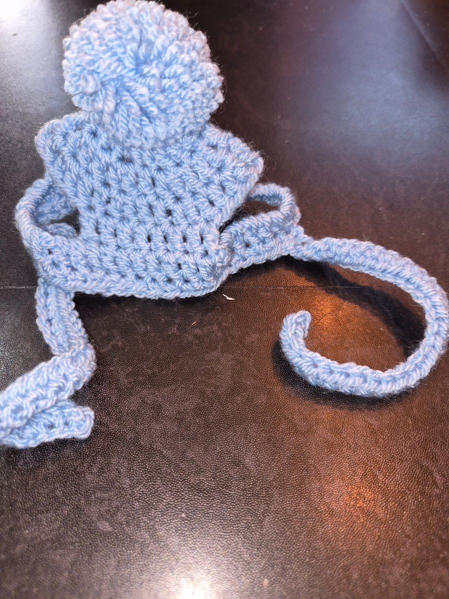 Crochet dog hat