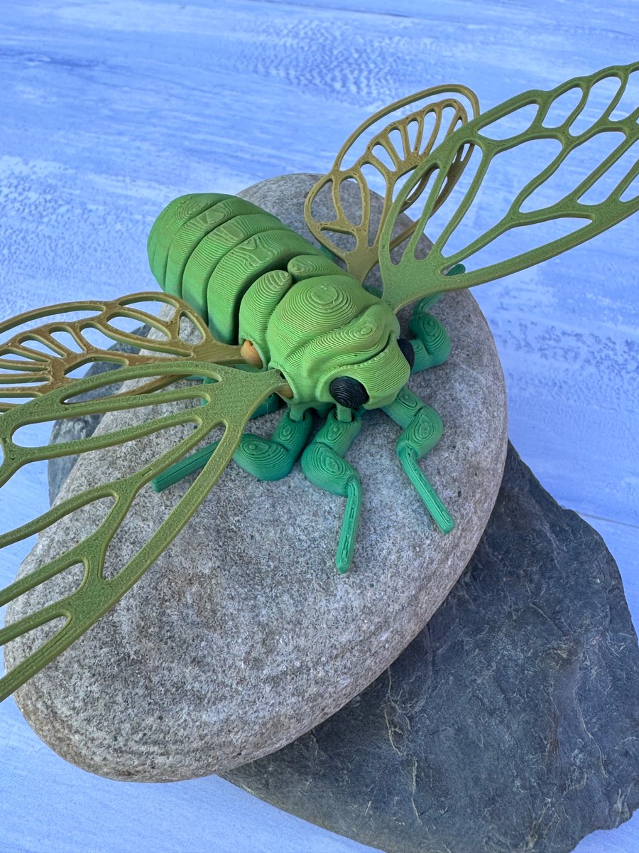 3D Printed Cicada 