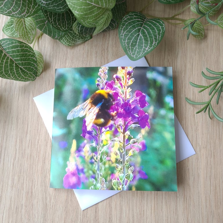 Bumble bee and flower photo printed card