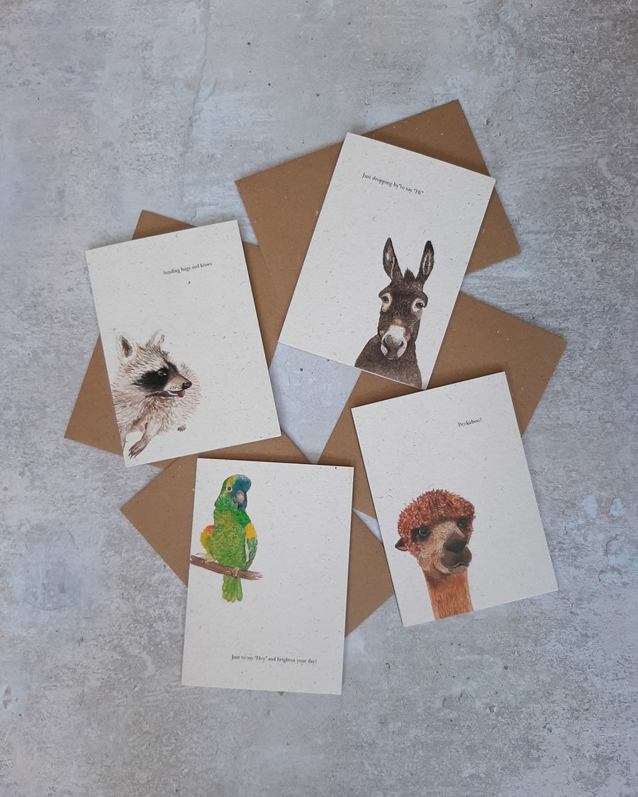 Animal Card Bundle