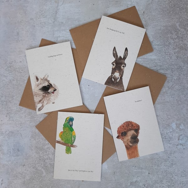 Animal Card Bundle