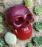 Resin Skull