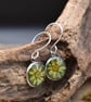 Sycamore Flower Resin Earrings, Green, 304 Stainless Steel, Made in Scotland - Image 7