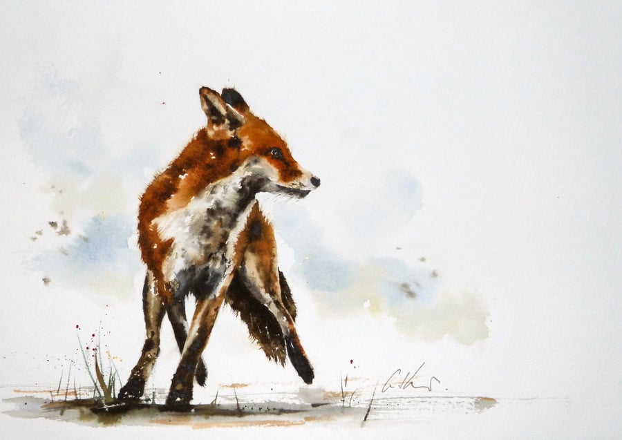 Alert Fox, Original Watercolour Painting.