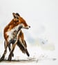 Alert Fox, Original Watercolour Painting.