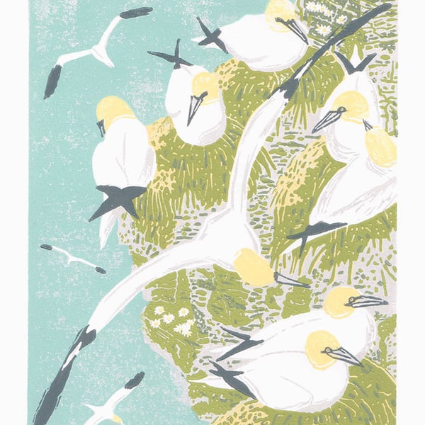 Gannets, sea birds - Original hand cut limited edition linocut print