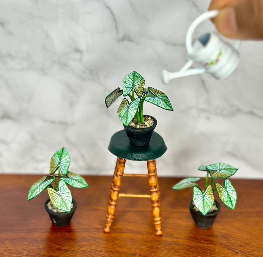 Miniature Caladium Plant - Handmade ,112 Scale, Dollhouse plant Miniature 