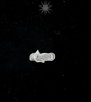 Silver running wolf ring - Image 4