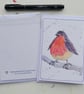 Hand Painted Robin Greetings Card - Blank Card with Envelope - Image 6