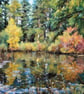 A5 Greeting Card Autumn Water Garden 