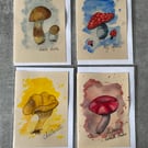 4 x watercolour original painting fungi art cards