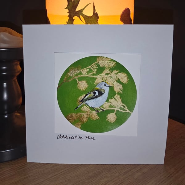 Goldcrest in Pine Card