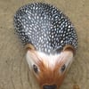 Hedgehog hand painted on stone 