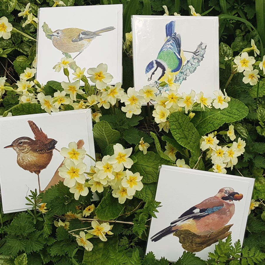 Dartmoor Spring Bird Cards - single