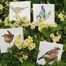 Dartmoor Spring Bird Cards - single