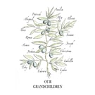 Grandparent anniversary, birthday or Christmas gift print of grandchildren names