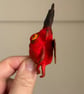 Miniature Demon Spun Cotton  - Image 5