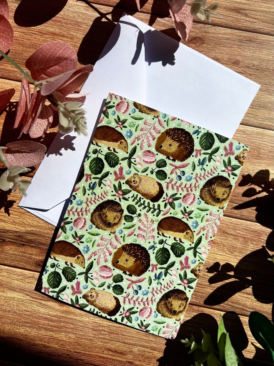 A6 Hedgehog Blank Greetings Card Birthdays, Thank yous, Special occasions