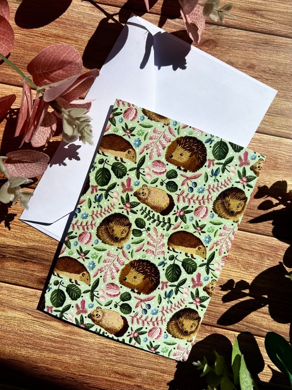A6 Hedgehog Blank Greetings Card Birthdays, Thank yous, Special occasions