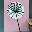Botanical art, Garden Allium, seed head, shadow painting, handmade art, pink 