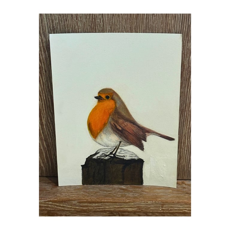 9x12 Perfectly Imperfect Pencil Drawing Robin Bird Art