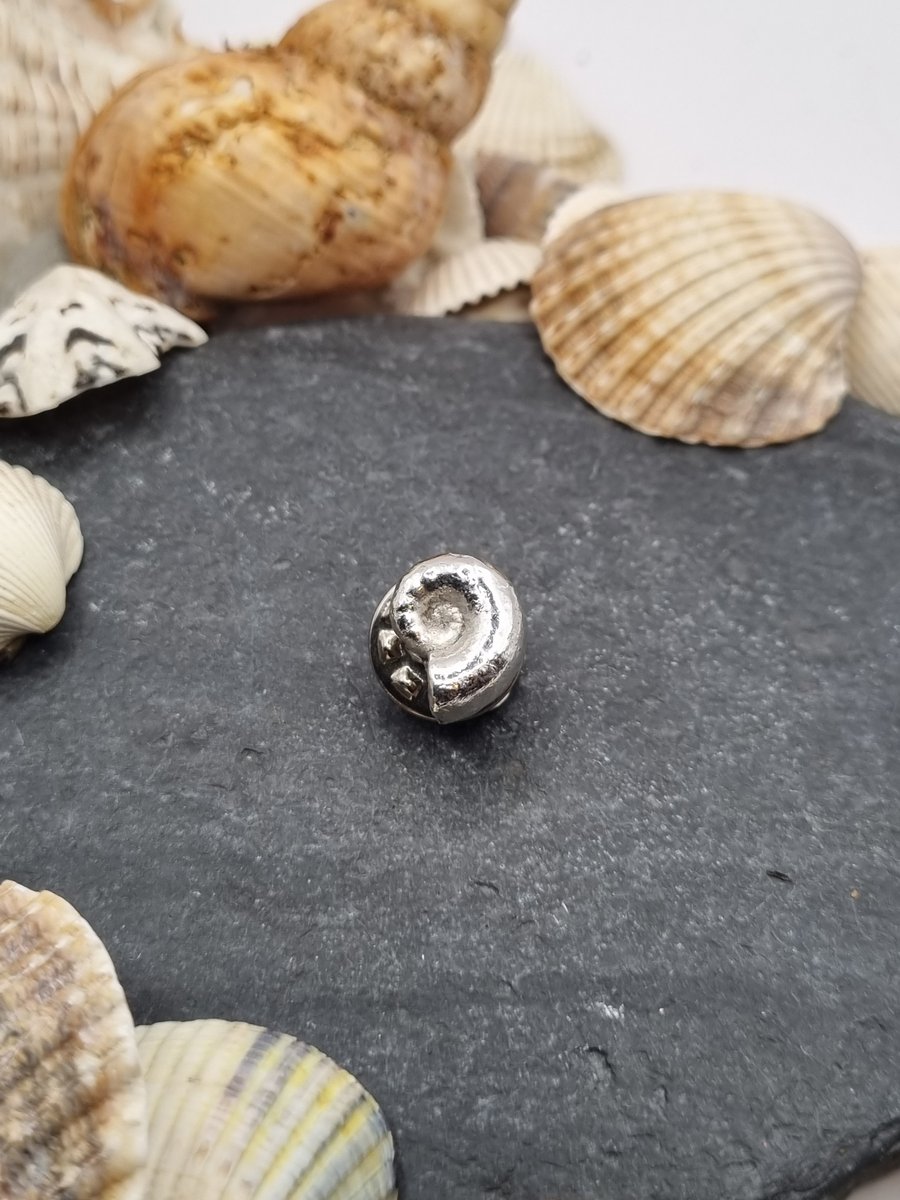 Real spirula seashell preserved in silver, tie pin!