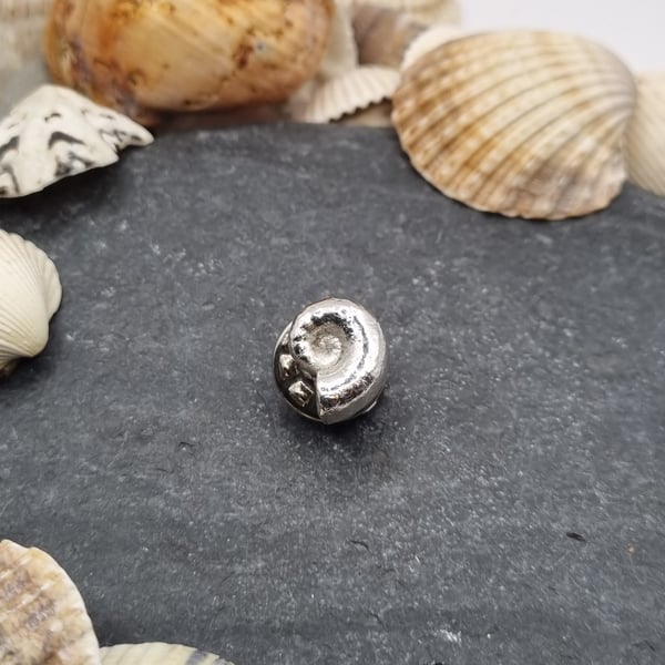 Real spirula seashell preserved in silver, tie pin!