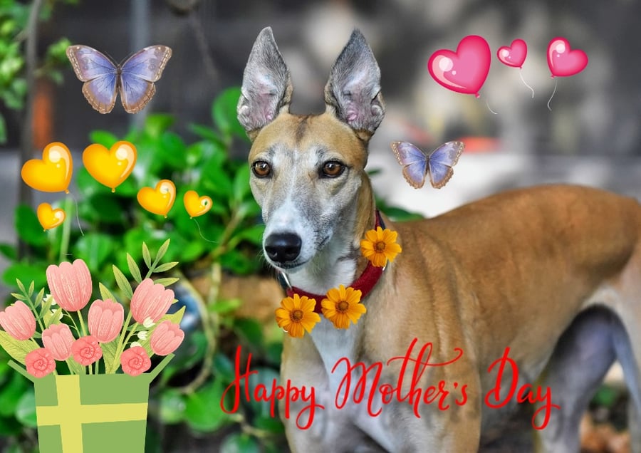 Happy Mother's Day Greyhound Card A5