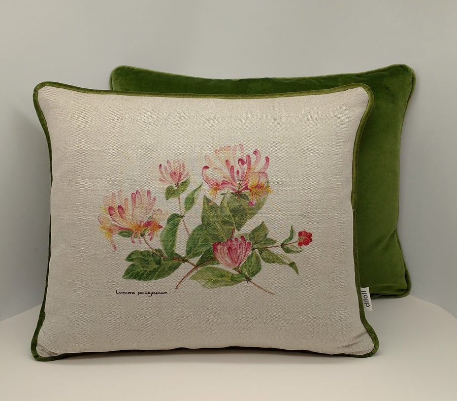 Honeysuckle 18"x 14" cushion.