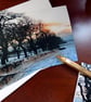 Winter Morning - Pack of Five Christmas Cards