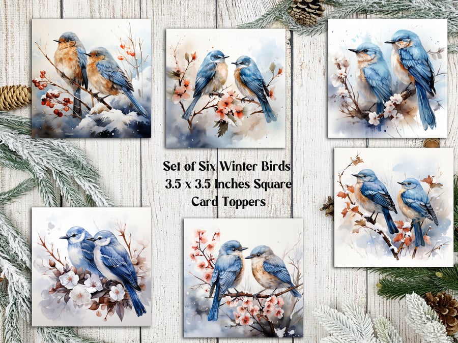 Blue Winter Birds Square Christmas Card Toppers for Card Making
