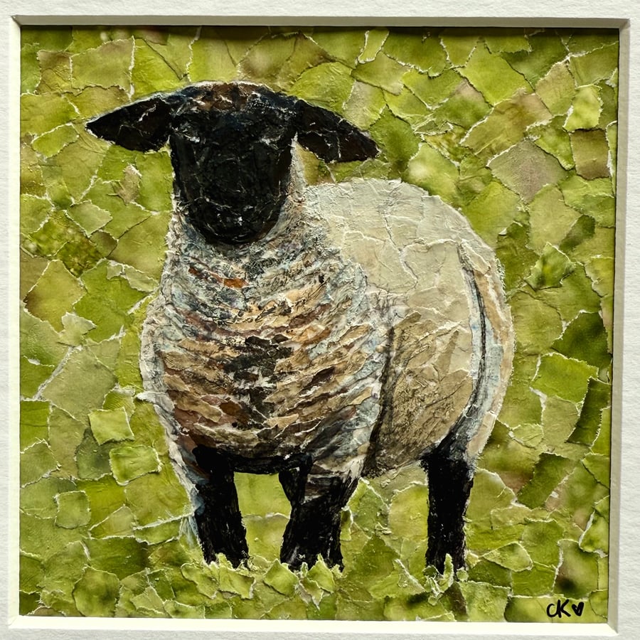 Sheep Collage