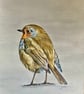 Robin Original Coloured Pencil Drawing 