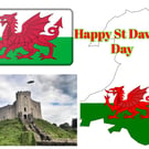 Happy St David's Day A5 Greeting Card 