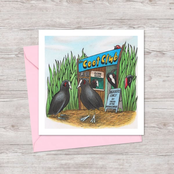 Funny Birds Greeting Card: Cute Hand Drawn Coots and Moorhen Illustration (222)