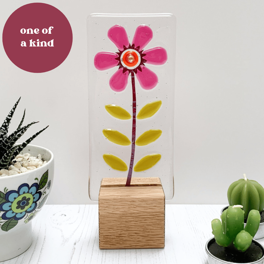 Fused Glass Pink Daisy on Oak - Fused Glass Artwork