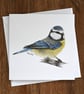 Blue Tit Blank Card - Image 2