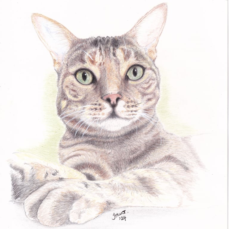 Drakkina Design Studio