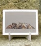 Coati Cuddle Fine Art Print - Image 2