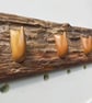 Blitz Timber 13 - Image 7