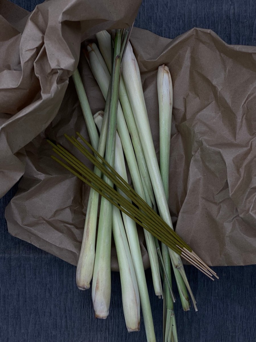 Summer Camping Incense Sticks - Lemongrass