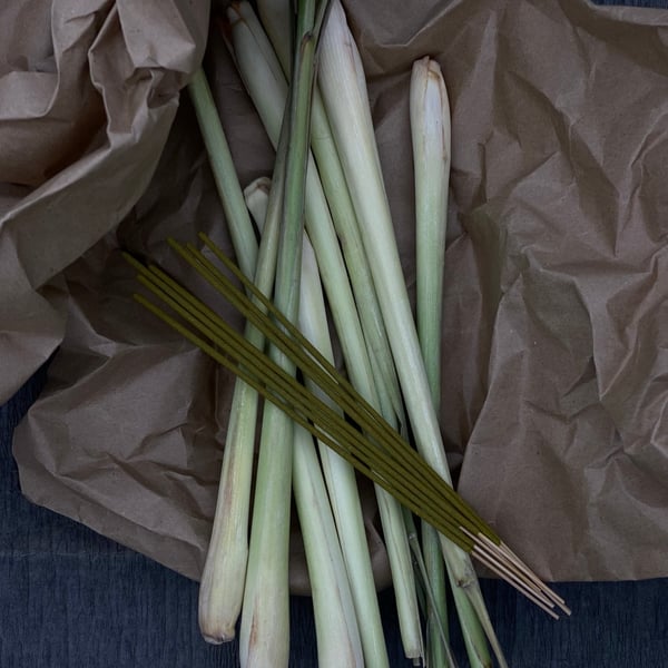 Summer Camping Incense Sticks - Lemongrass