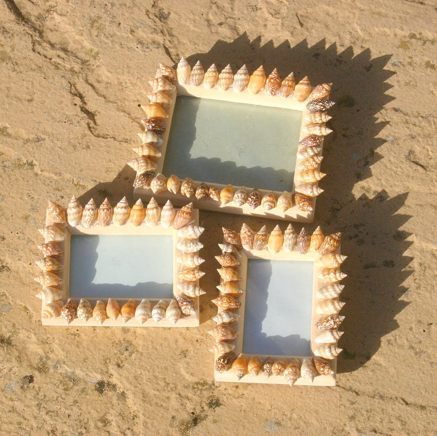 3 small seashell hanging picture frames