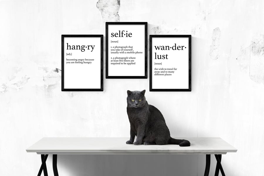 Dictionary definition prints